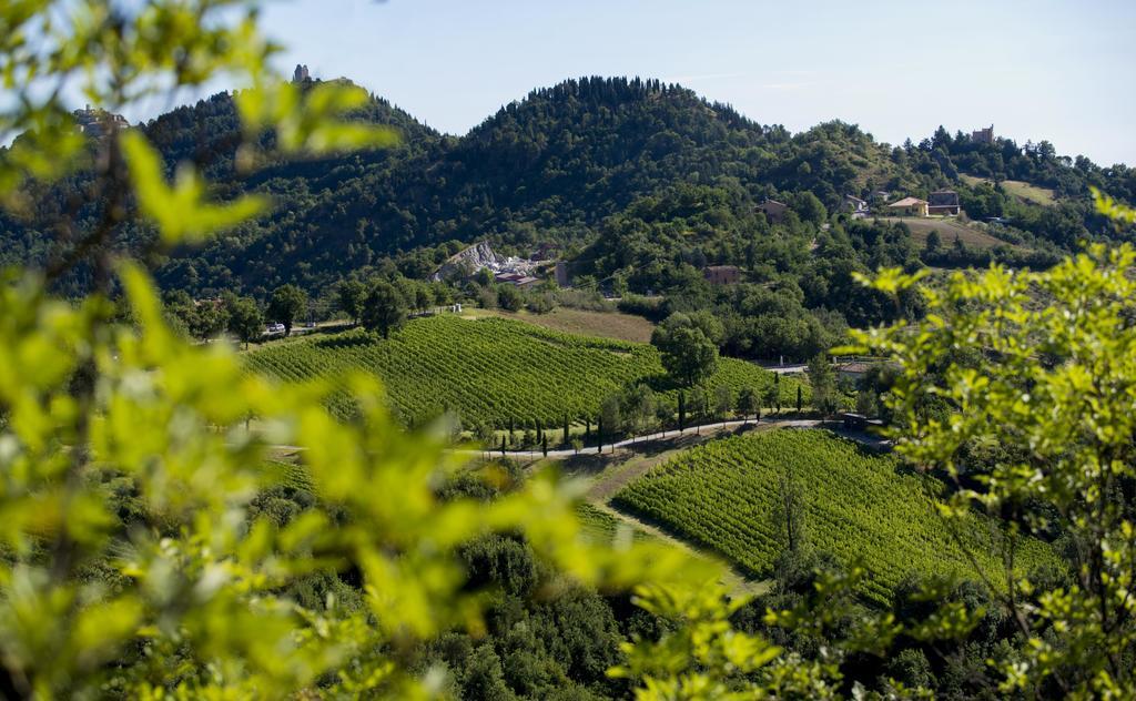 Tenuta Saiano Resort Torriana Екстериор снимка